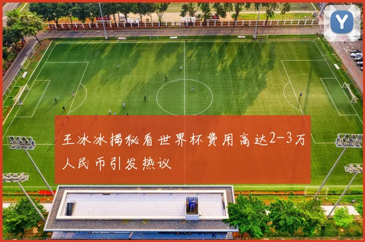 王冰冰揭秘看世界杯费用高达2-3万人民币引发热议