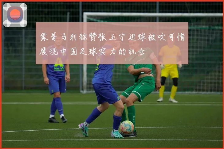 蒙哥马利称赞张玉宁进球被吹可惜展现中国足球实力的机会
