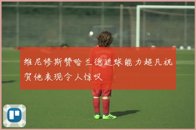 维尼修斯赞哈兰德进球能力超凡祝贺他表现令人惊叹